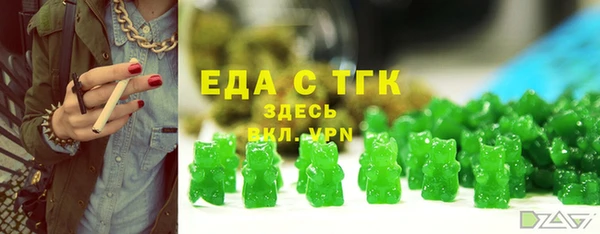 тгк Абаза