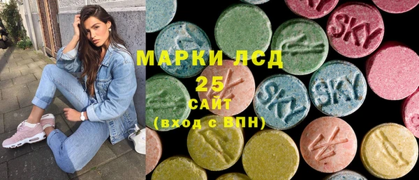 тгк Абаза