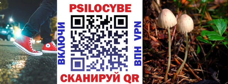 Галлюциногенные грибы прущие грибы  купить   Кадников 