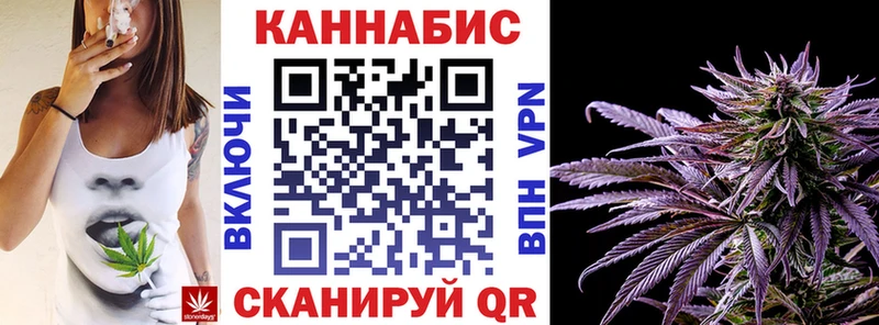 Каннабис гибрид  Кадников 